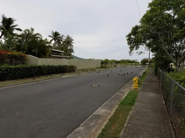 Maunalua Beach Clean Up