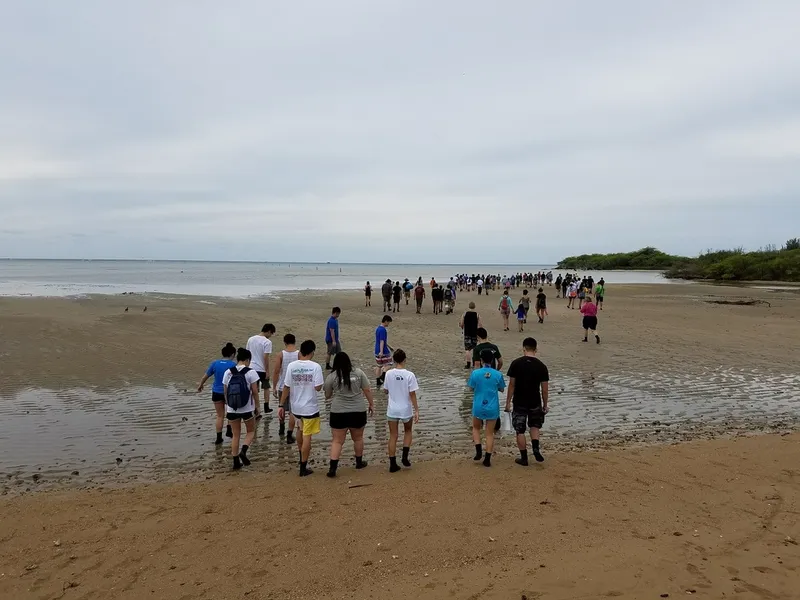 Maunalua Beach Clean Up