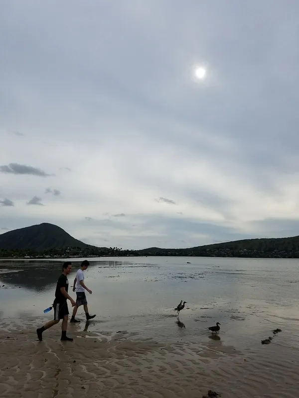 Maunalua Beach Clean Up