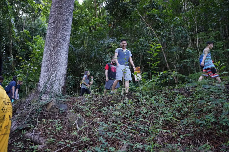 Hiking @ Na Al Hele: Maunalaha Trail