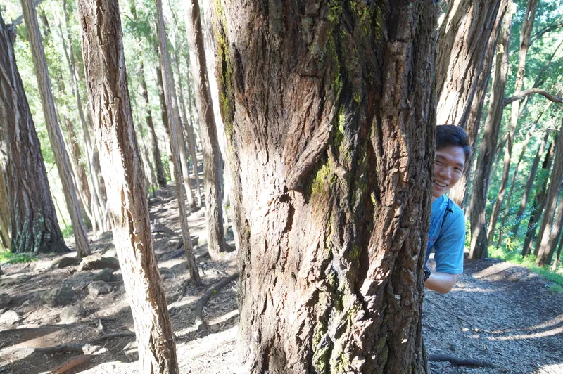 Hiking @ Na Al Hele: Maunalaha Trail