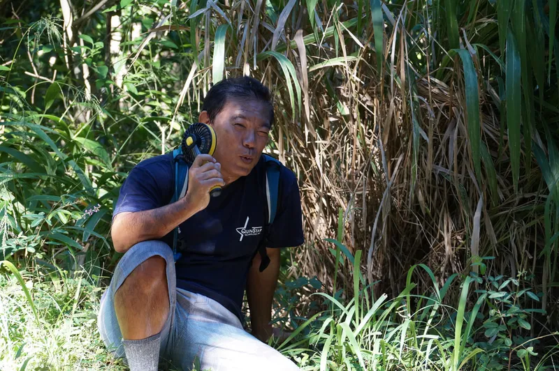 Hiking @ Na Al Hele: Maunalaha Trail