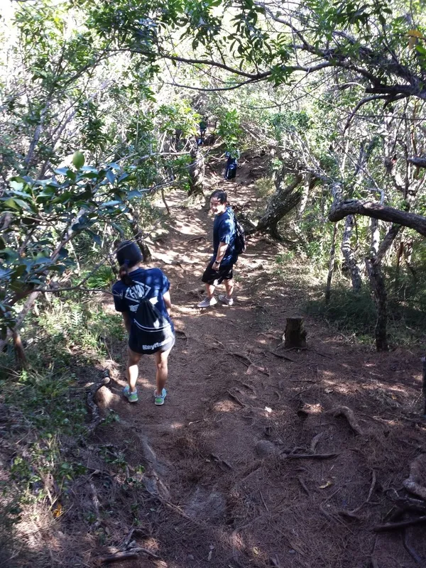 Hiking