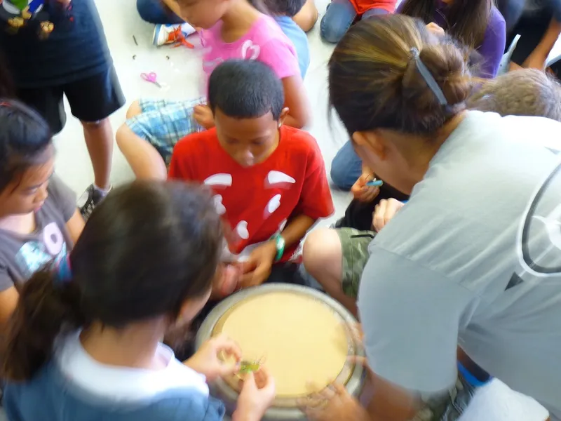 Hokulani Brushbot Workshop