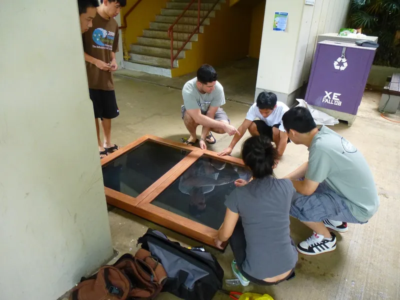 Trophy Case Building