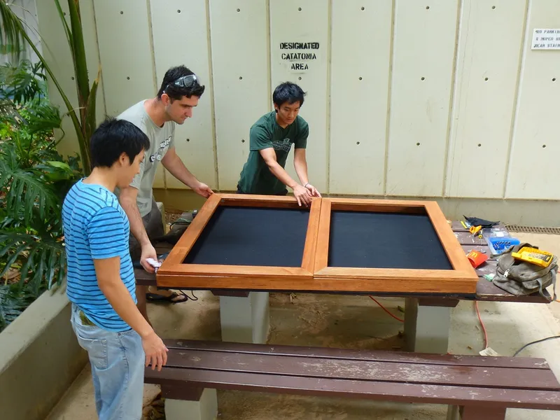 Trophy Case Building